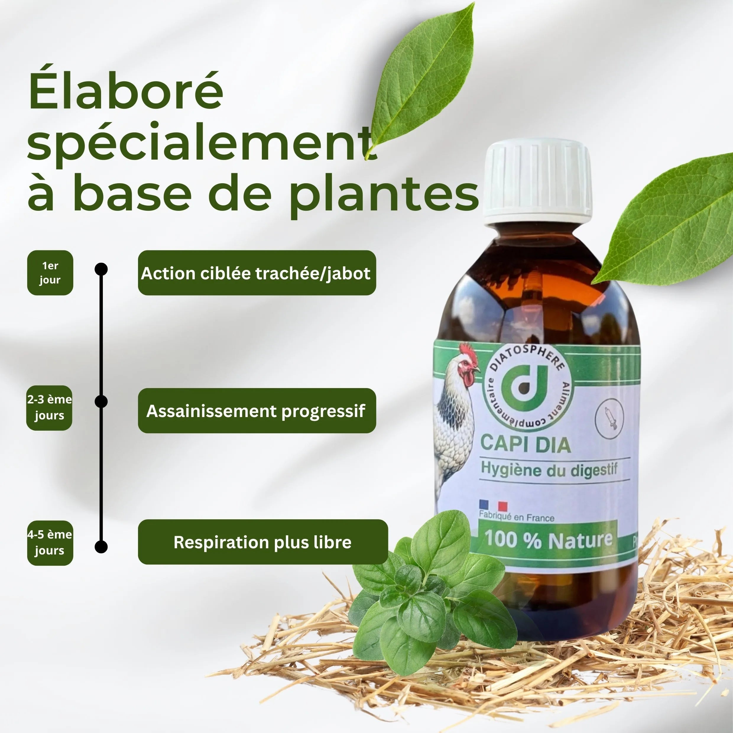 Capi Dia : Vermifuge Naturel contre Vers du Jabot et de la Trachée chez les Poules (Capillariose, Syngamose)