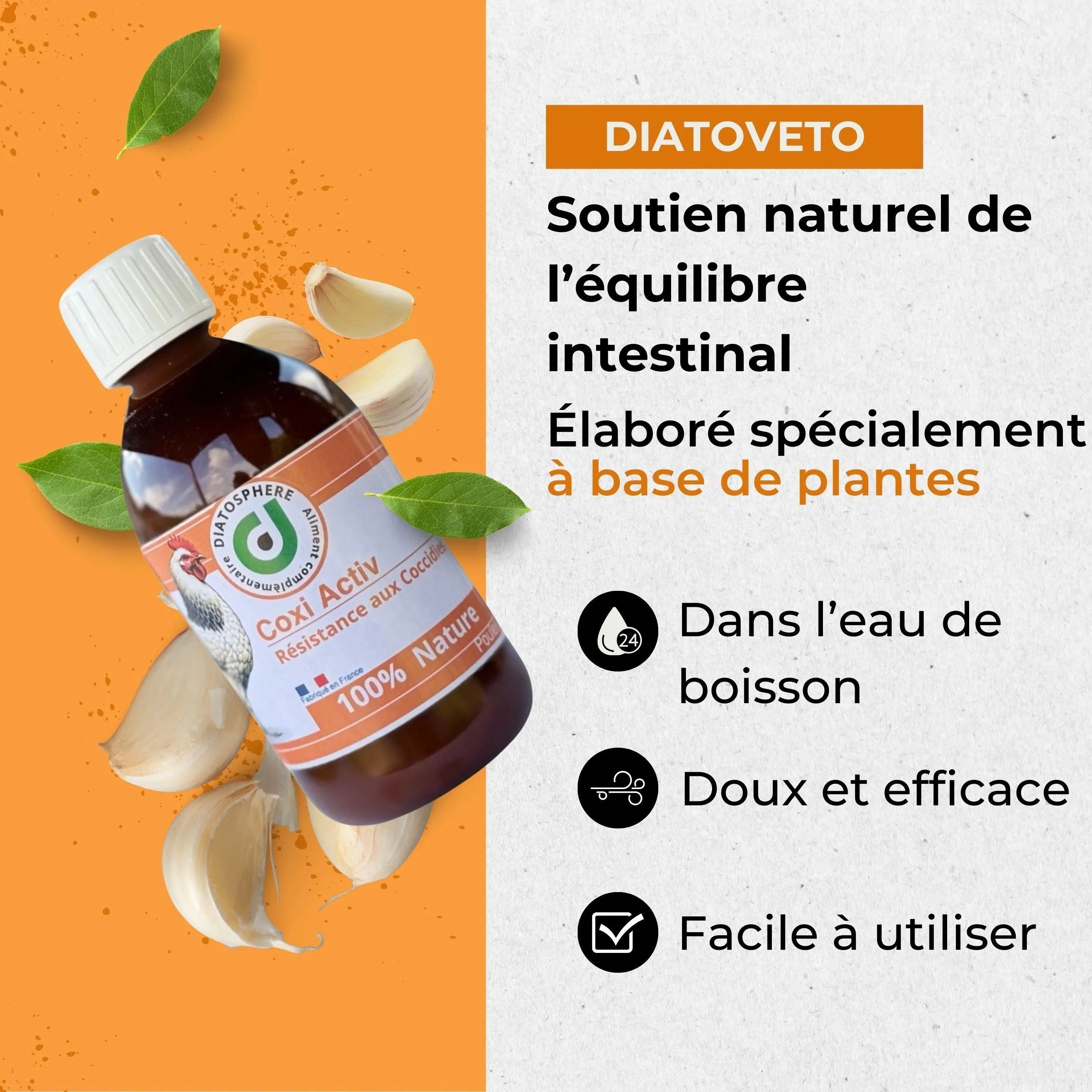 Coxi Activ : Traitement Naturel contre Coccidiose chez les Poules
