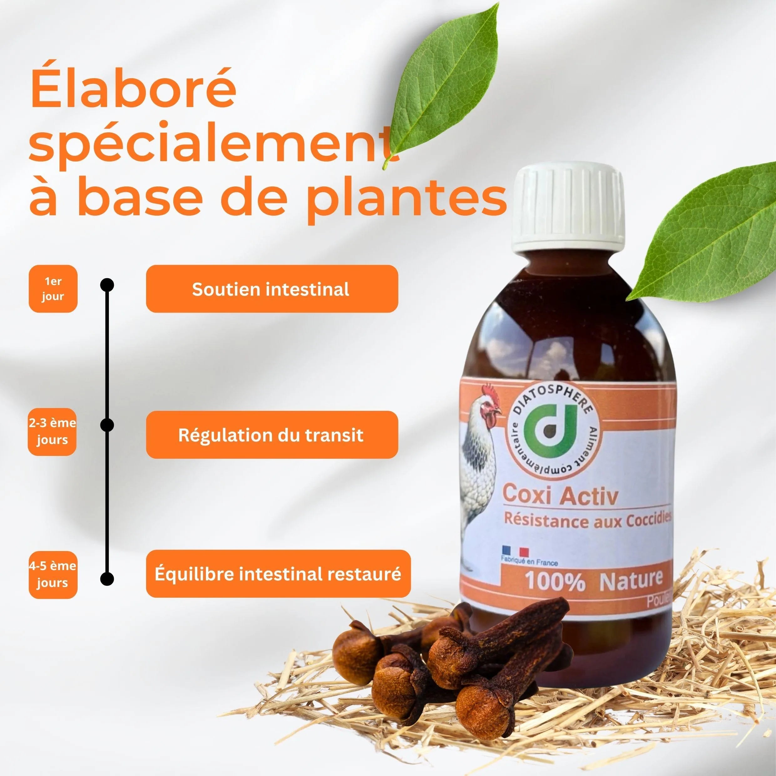 Coxi Activ : Traitement Naturel contre Coccidiose chez les Poules