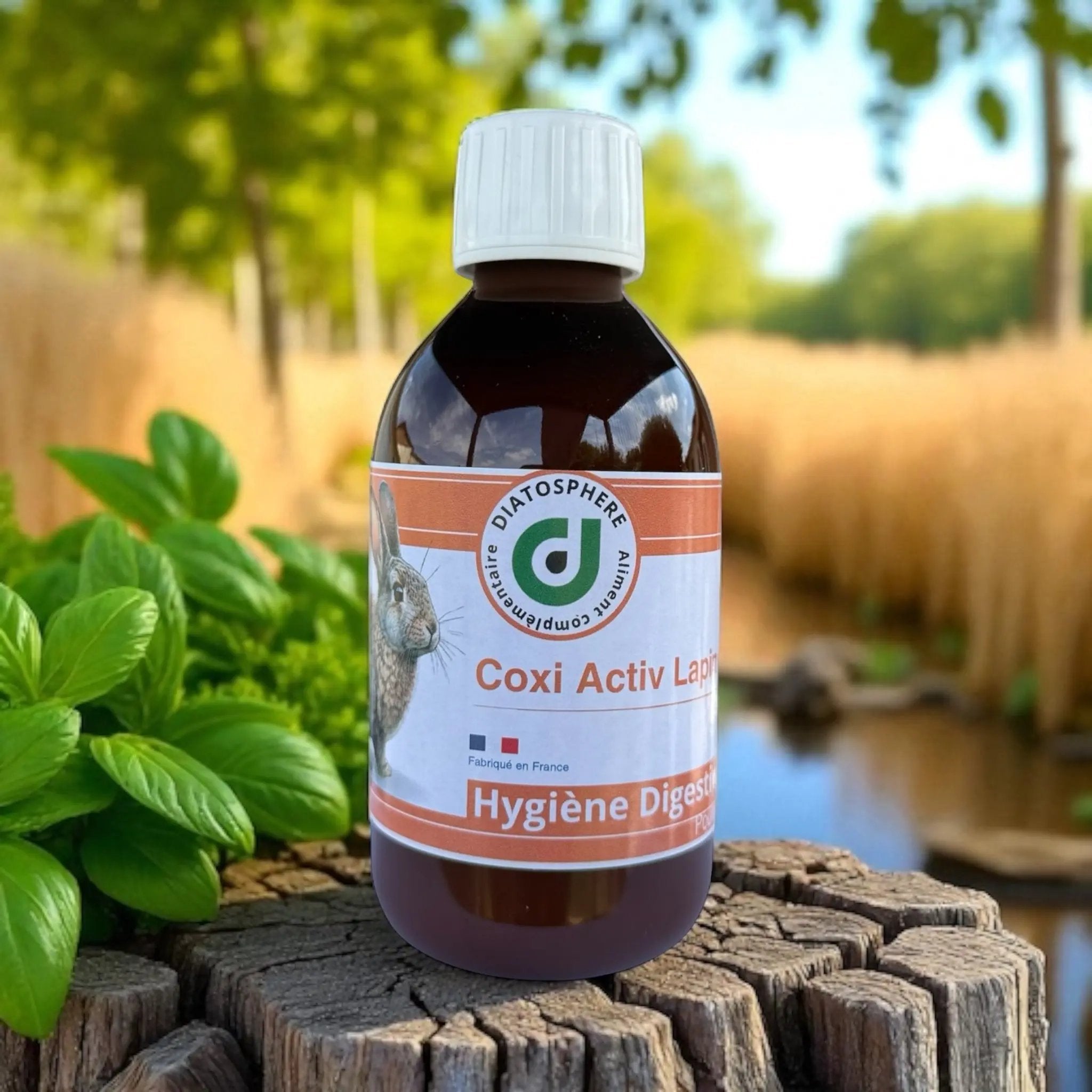 Ingrédients CocciActiv : extraits végétaux naturels pour anti-coccidiose poules lapins