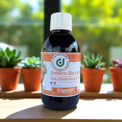 Ingrédients d'Enterro Dia : citron, eucalyptus et ail