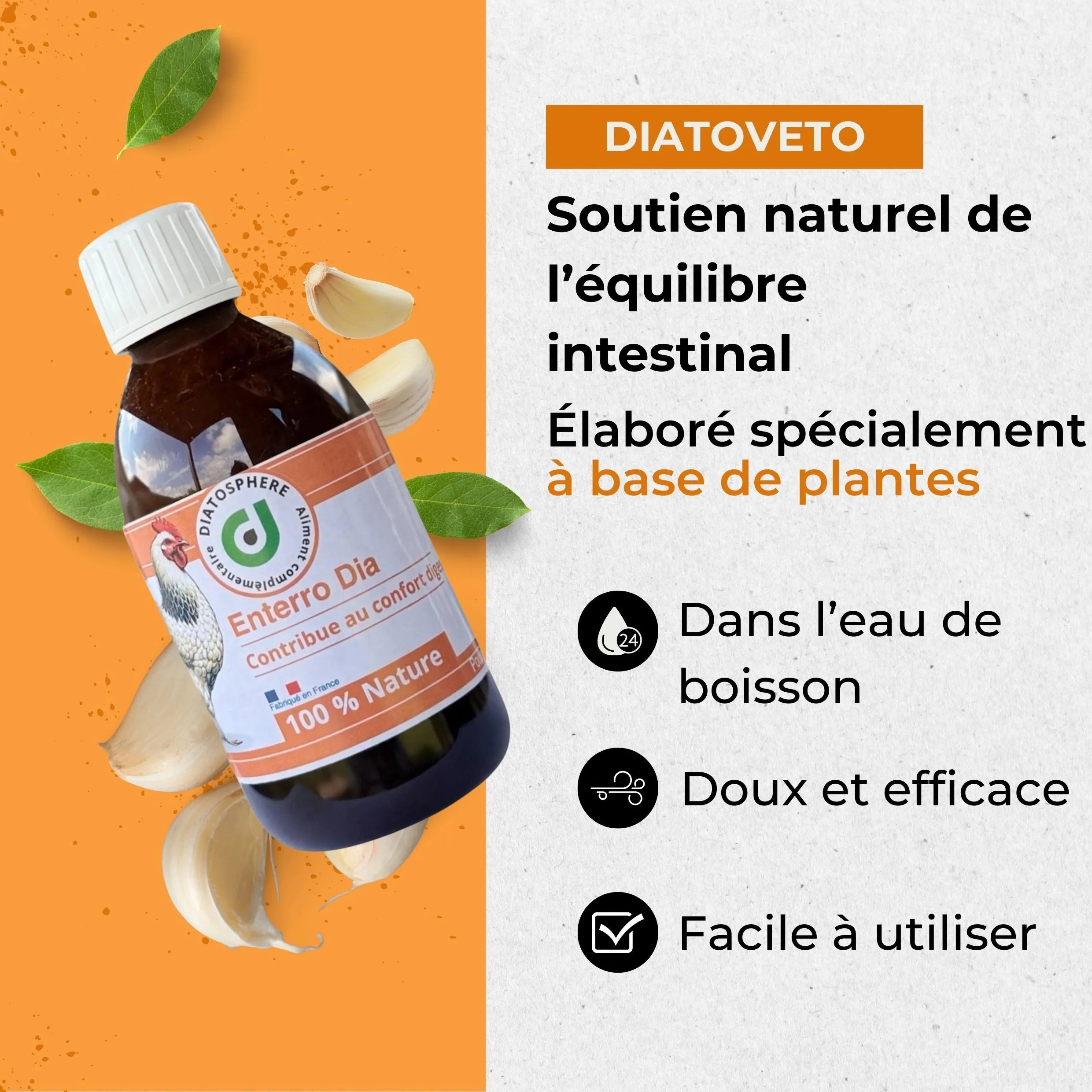 Entero Dia : Traitement Naturel contre Entérocolite et Diarrhée chez les Poules
