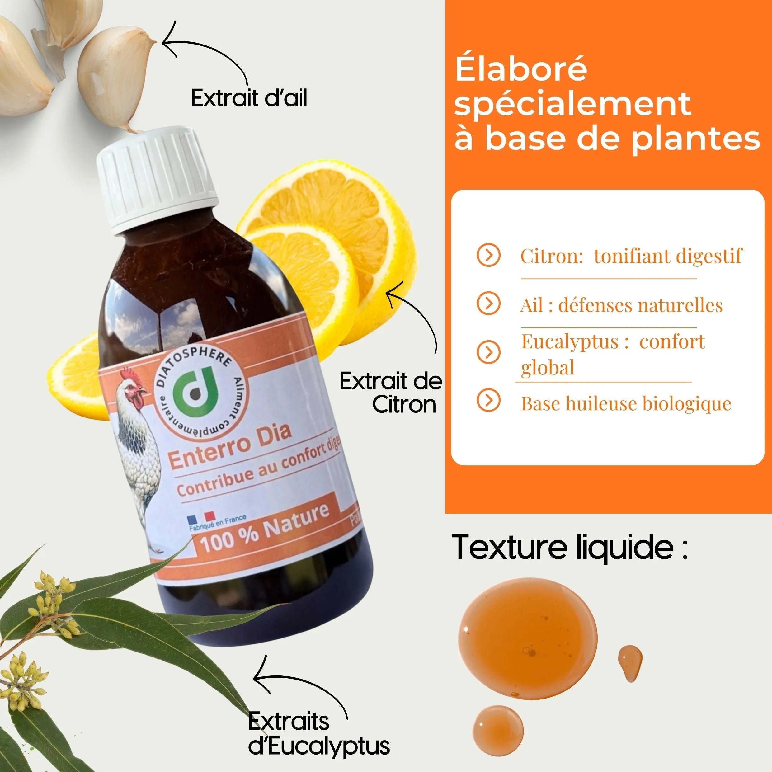 Entero Dia : Traitement Naturel contre Entérocolite et Diarrhée chez les Poules