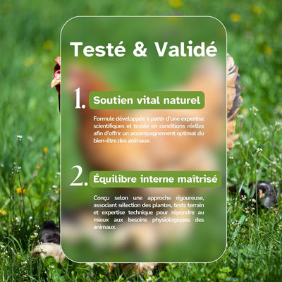 Diavermix Eau - Vermifuge Naturel Poules contre les Vers Intestinaux