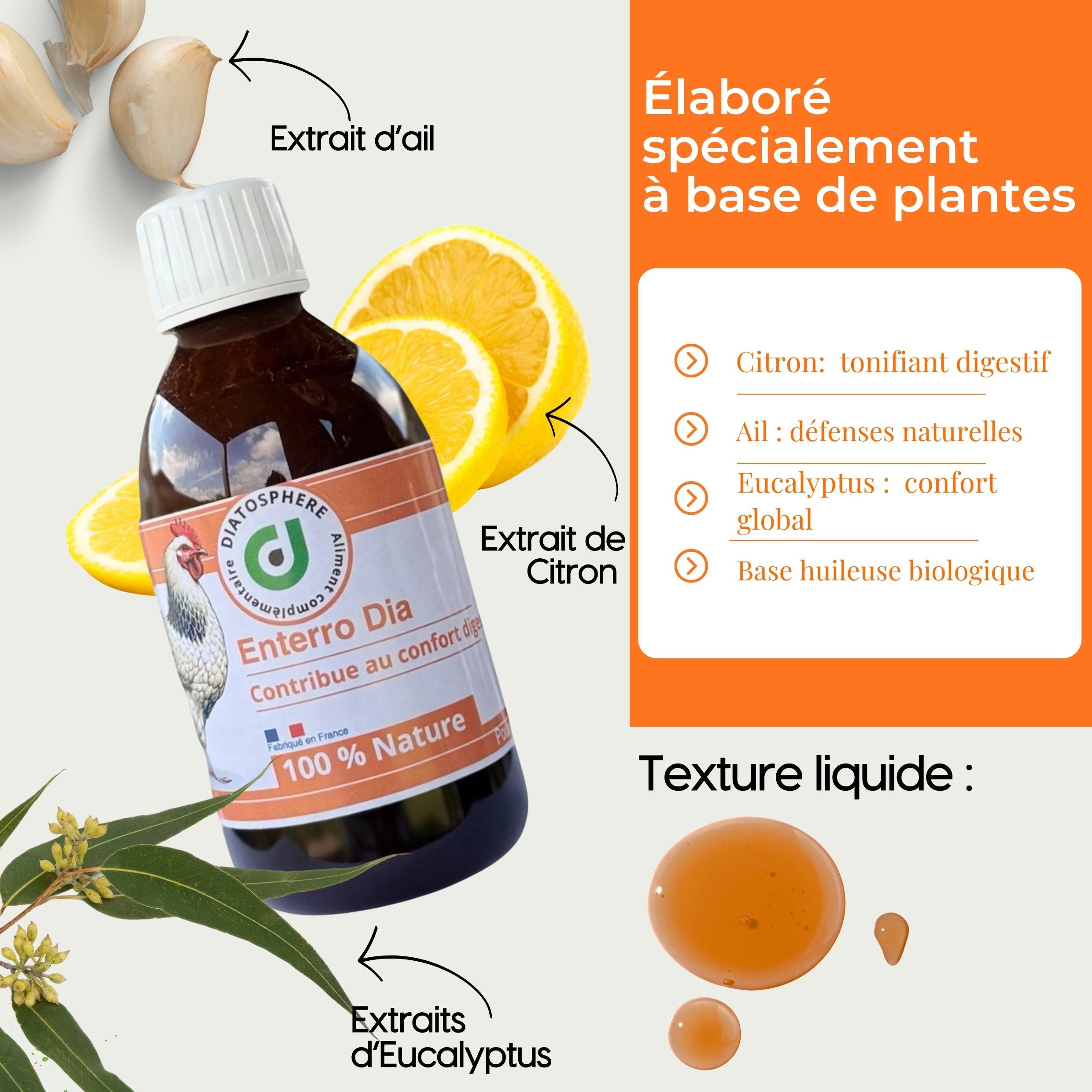 Entero Dia : Traitement Naturel contre Entérocolite et Diarrhée chez les Poules