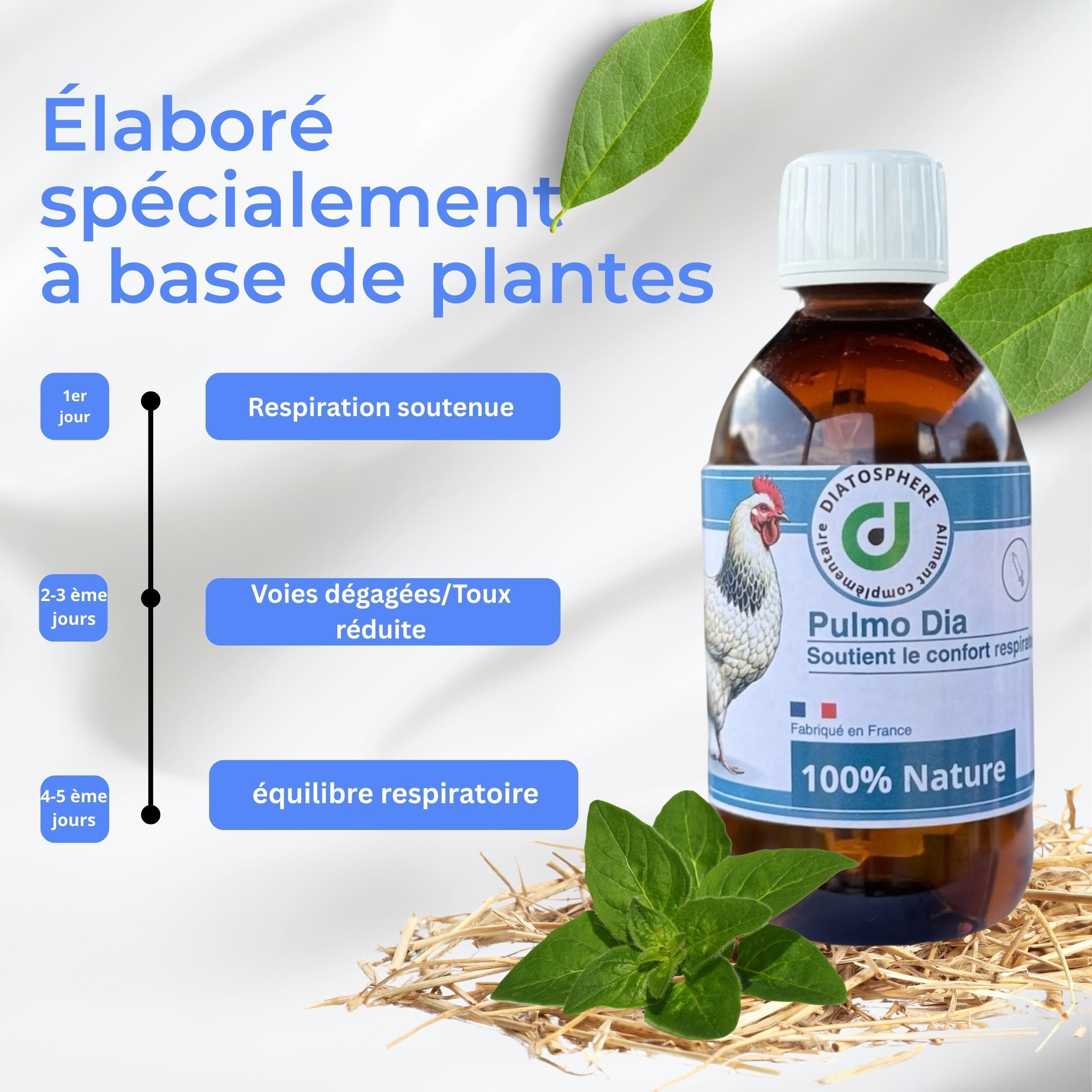 Pulmo Dia : Traitement Naturel pour Coryza, Rhume et Toux chez les Poules Diatosphere
