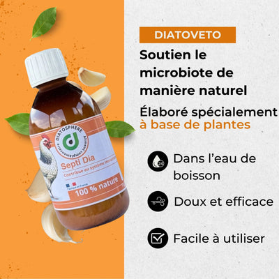 Septi Dia : Traitement Naturel contre Infections Bactériennes chez les Poules (E. coli, Salmonella, Soutien Pulmonaire) Diatosphere