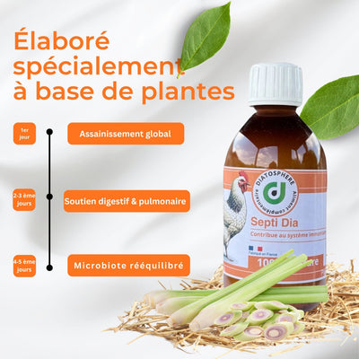 Septi Dia : Traitement Naturel contre Infections Bactériennes chez les Poules (E. coli, Salmonella, Soutien Pulmonaire) Diatosphere