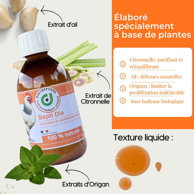 Septi Dia : Traitement Naturel contre Infections Bactériennes chez les Poules (E. coli, Salmonella, Soutien Pulmonaire) Diatosphere