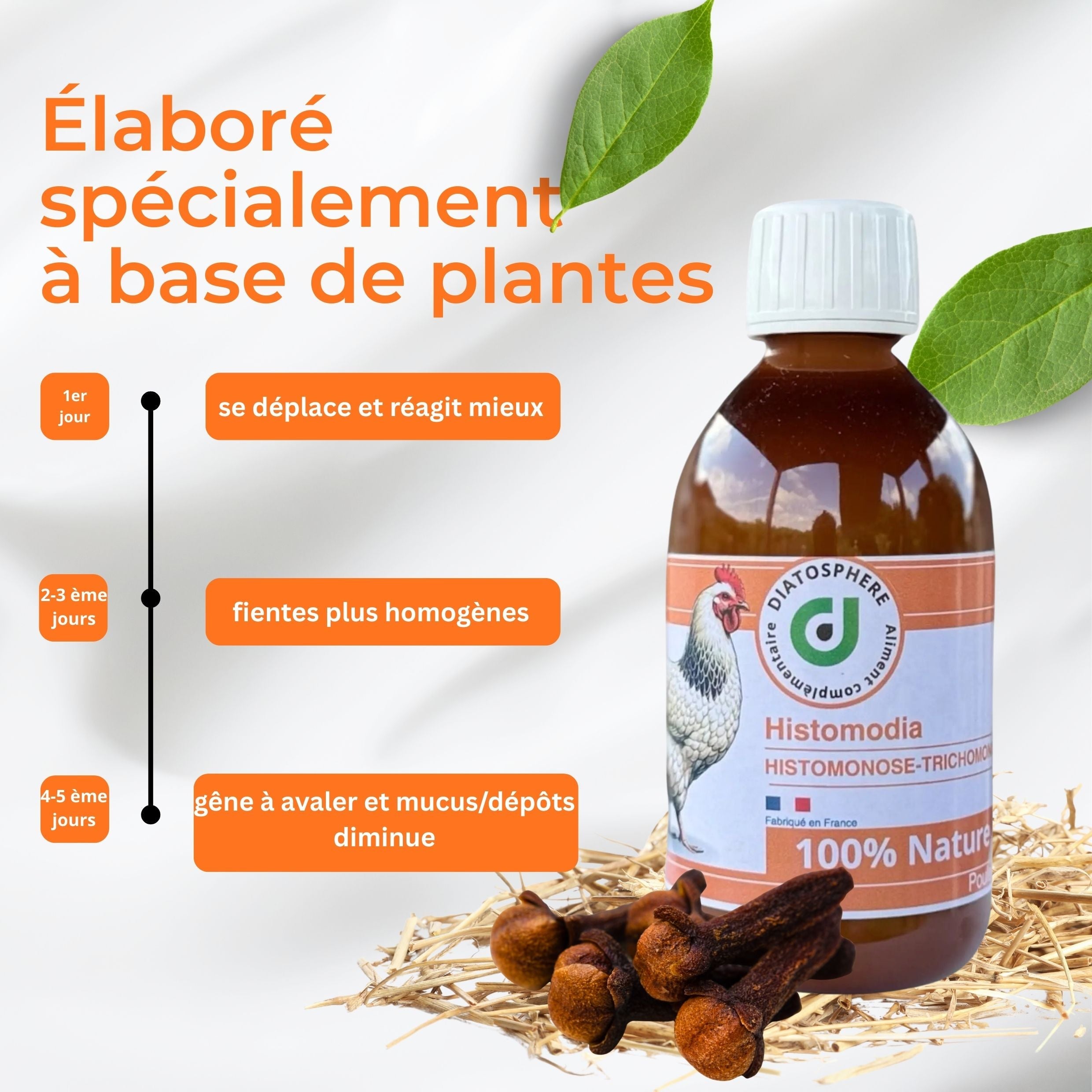 Histomodia : Traitement Naturel contre Trichomonose et Histomonose chez les Poules Diatosphere