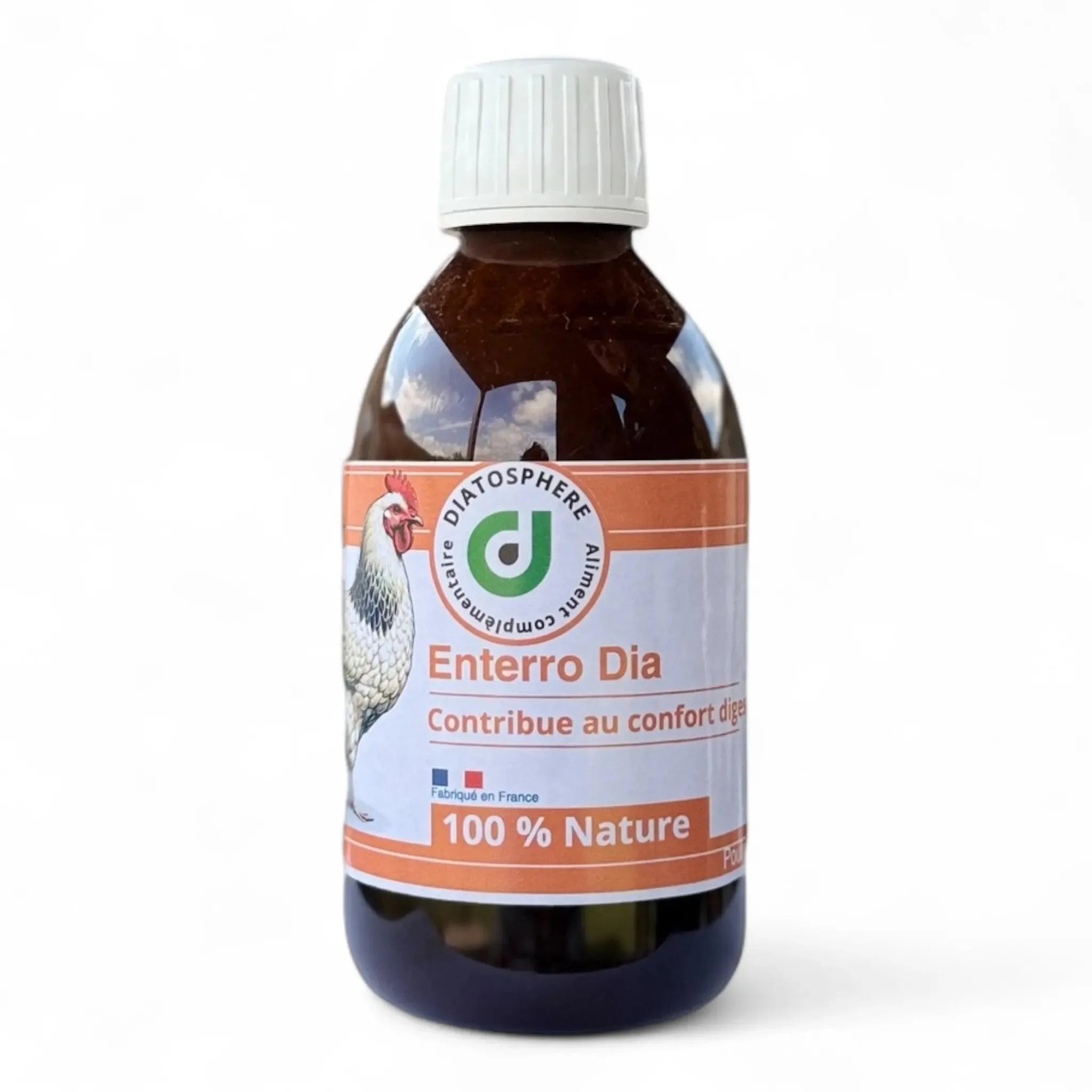 Entero Dia : Traitement Naturel contre Entérocolite et Diarrhée chez les Poules