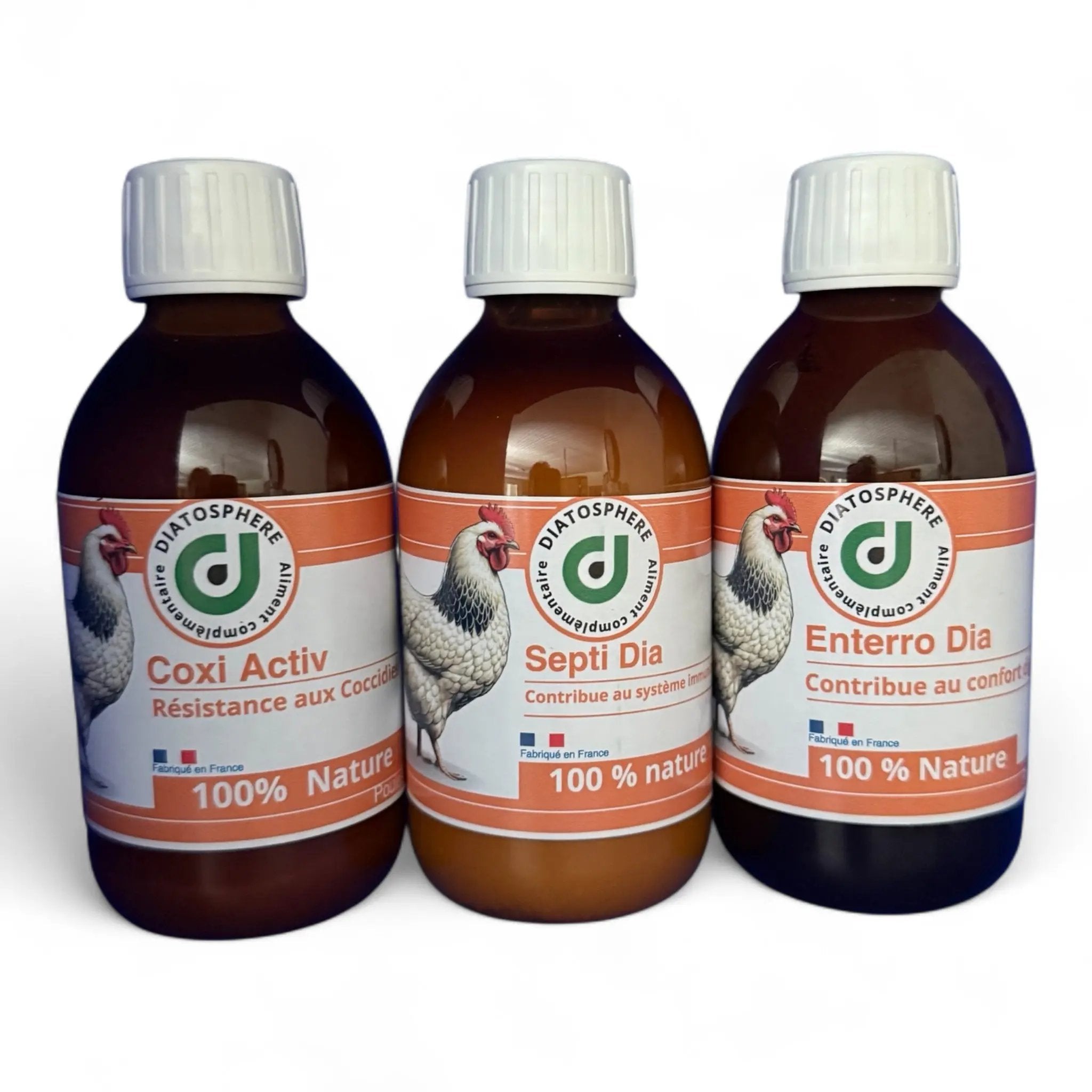 Cox Box Diatosphere shop