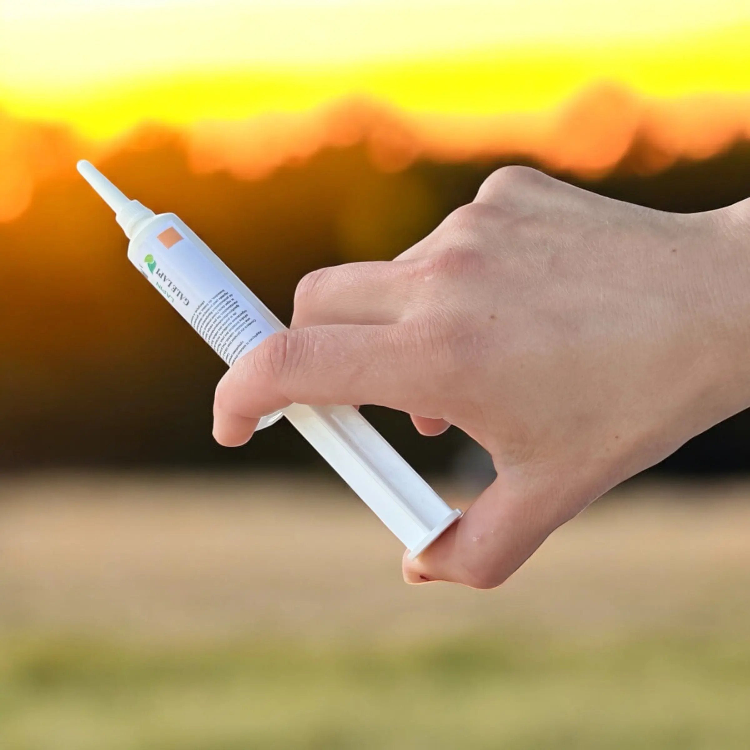 seringue gale lapi contre la gale des oreille des lapin 