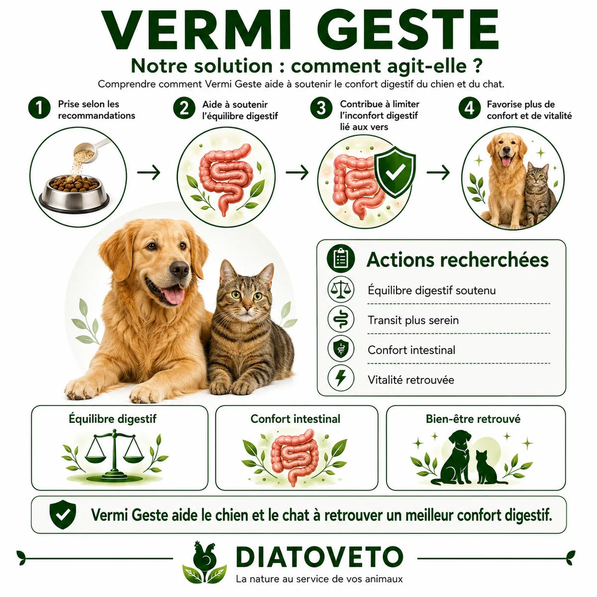 Infographie verte et blanche Vermi Geste avec un chien, un chat et quatre étapes illustrées